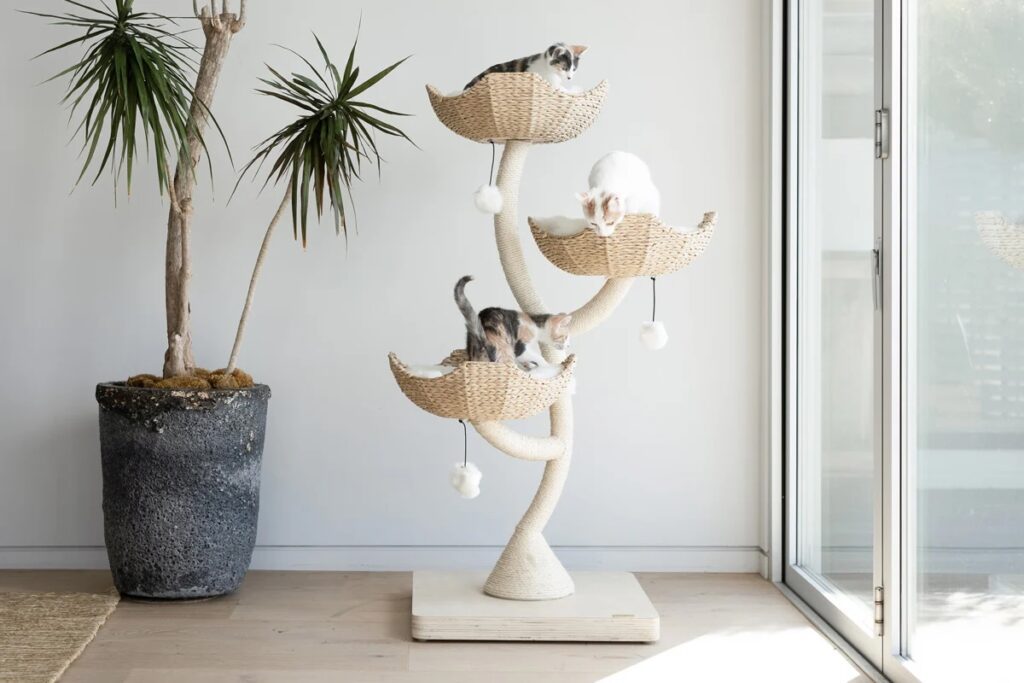 stylish home essentials