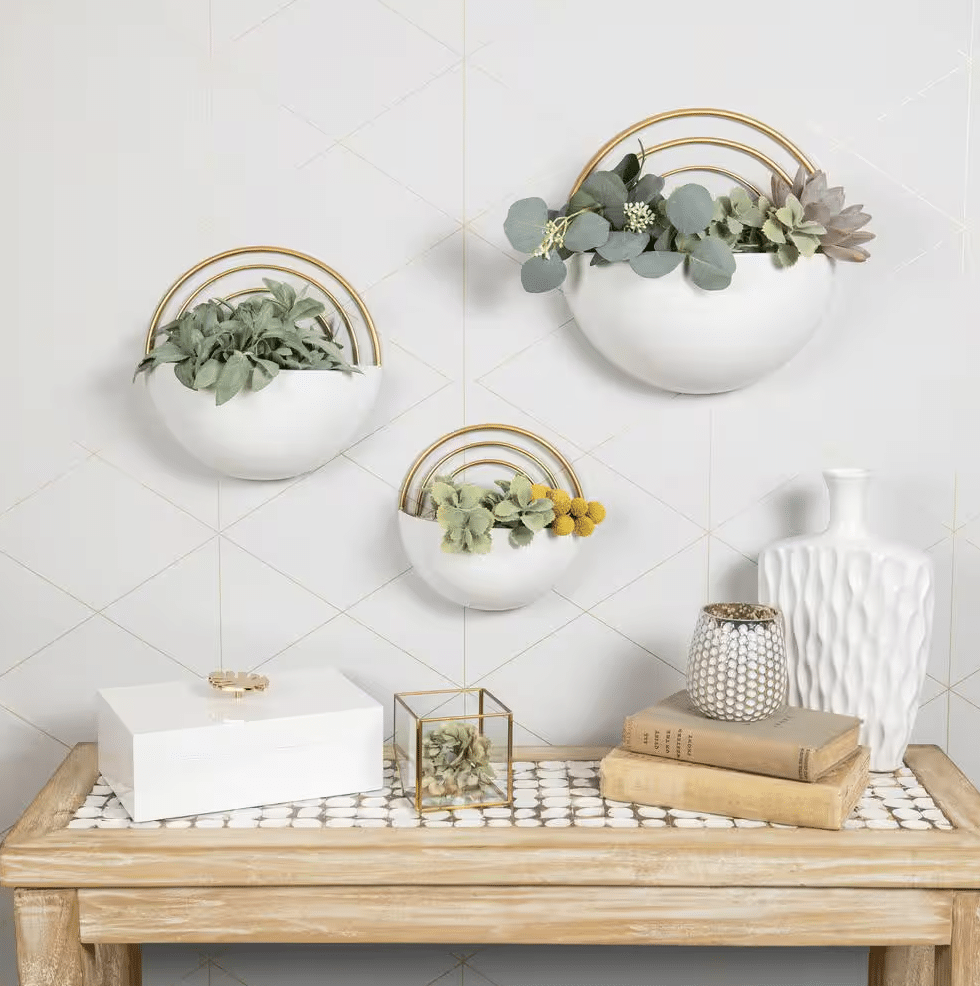Best indoor plants for NYC apartments