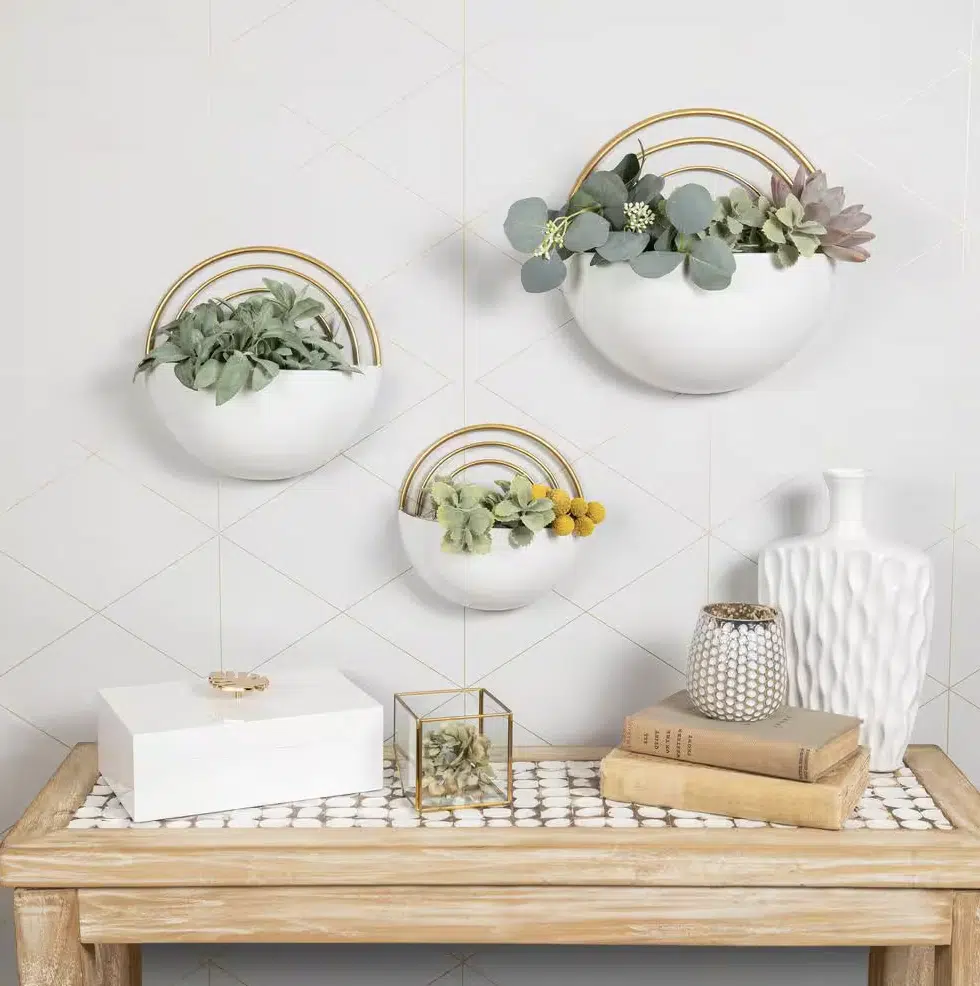 Best indoor plants for NYC apartments