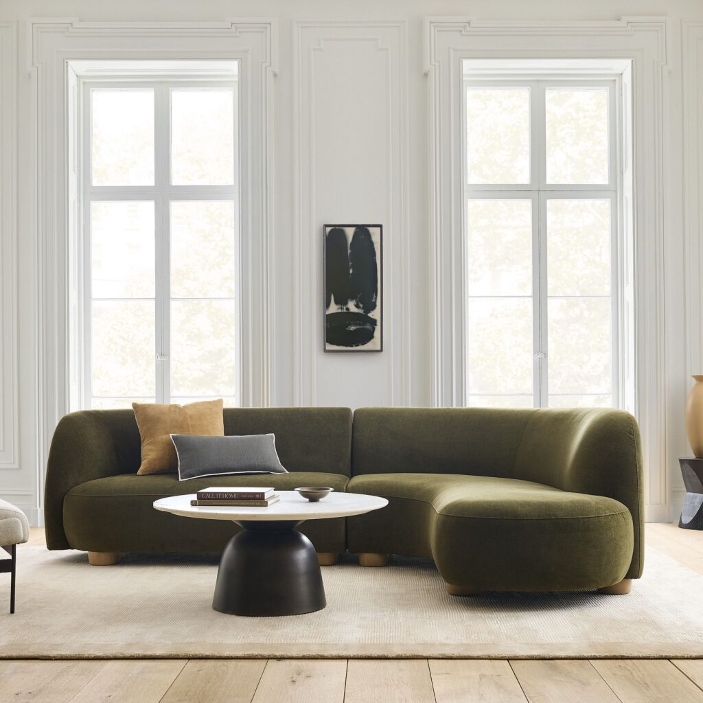 Modern living room featuring a curved sofa positioned within a long, shallow floor plan.