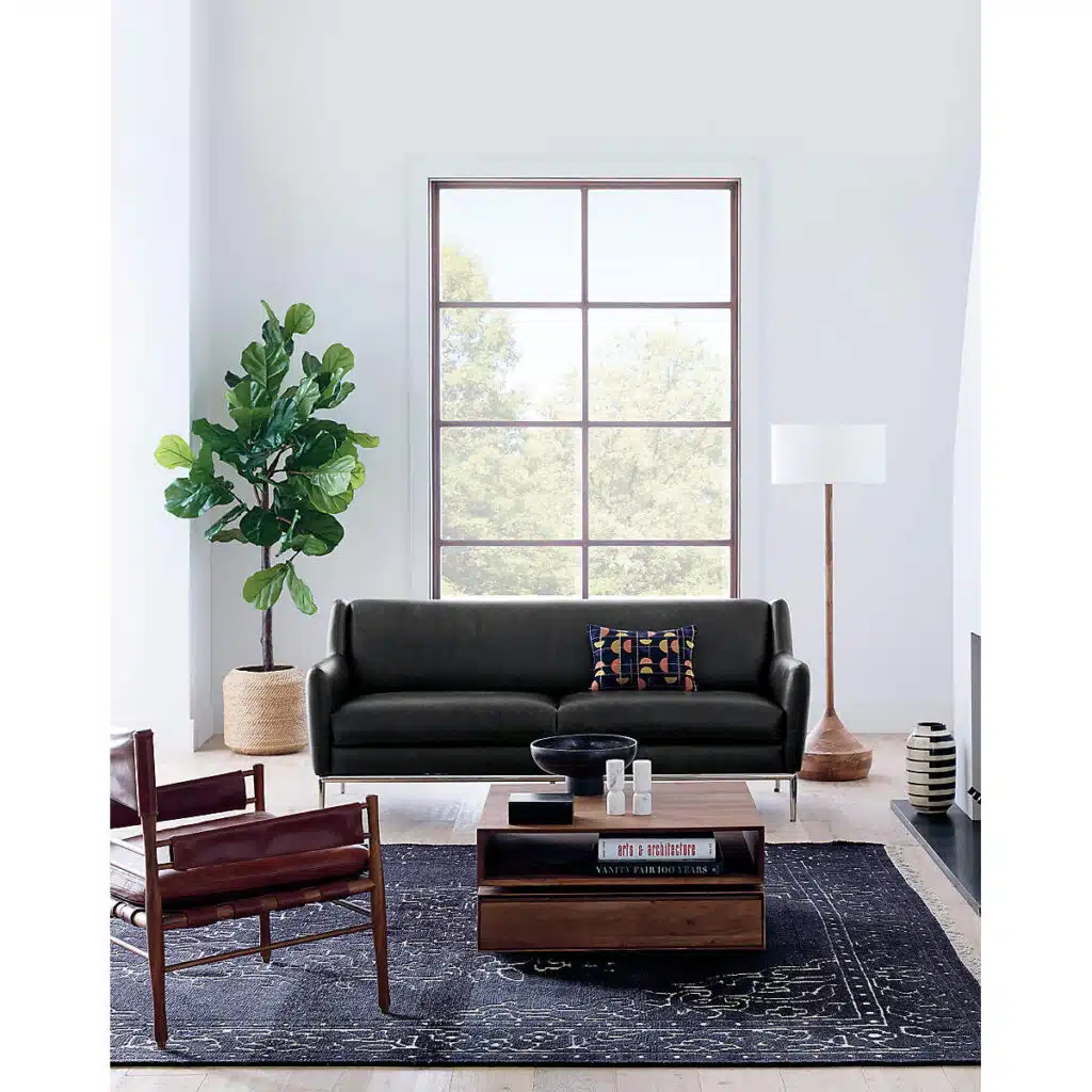 Large fiddle leaf fig tree in a minimalist planter filling an empty corner in a modern living room.